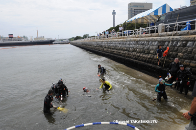 海底清掃が行われた山下公園前